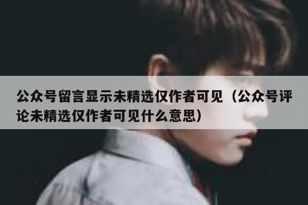 公众号留言显示未精选仅作者可见（公众号评论未精选仅作者可见什么意思） 第1张