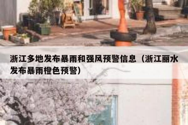 浙江多地发布暴雨和强风预警信息（浙江丽水发布暴雨橙色预警） 第1张