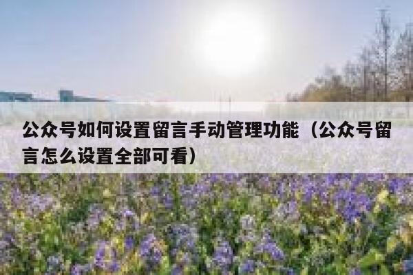 公众号如何设置留言手动管理功能(公众号留言怎么设置全部可看) 第1张 公众号如何设置留言手动管理功能(公众号留言怎么设置全部可看) 第1张