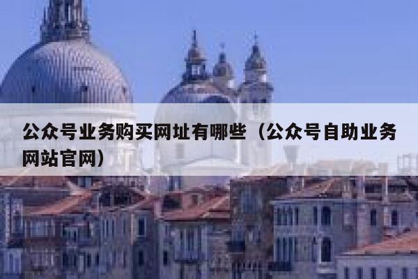 公众号业务购买网址有哪些（公众号自助业务网站官网） 第1张