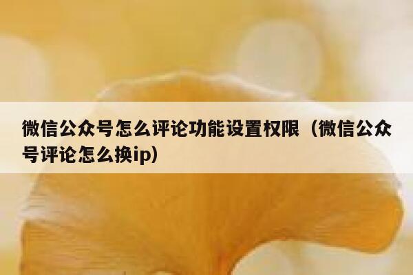 微信公众号怎么评论功能设置权限（微信公众号评论怎么换ip） 第1张