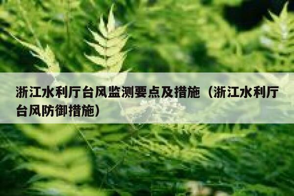 浙江水利厅台风监测要点及措施（浙江水利厅台风防御措施） 第1张