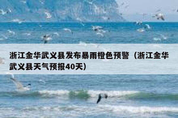 浙江金华武义县发布暴雨橙色预警（浙江金华武义县天气预报40天） 第1张