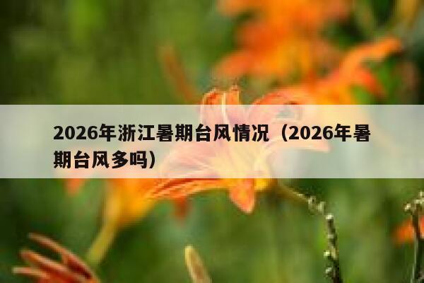 2026年浙江暑期台风情况(2026年暑期台风多吗) 第1张 2026年浙江暑期台风情况(2026年暑期台风多吗) 第1张