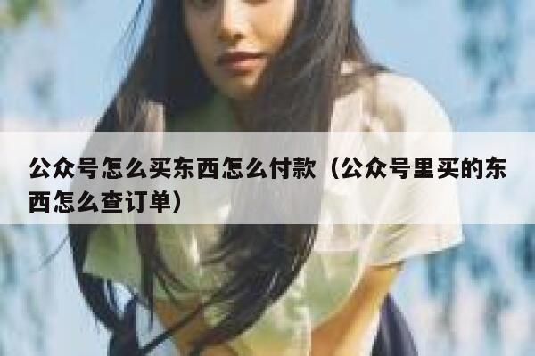 公众号怎么买东西怎么付款（公众号里买的东西怎么查订单） 第1张