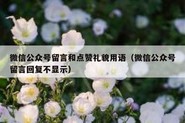 微信公众号留言和点赞礼貌用语（微信公众号留言回复不显示） 第1张