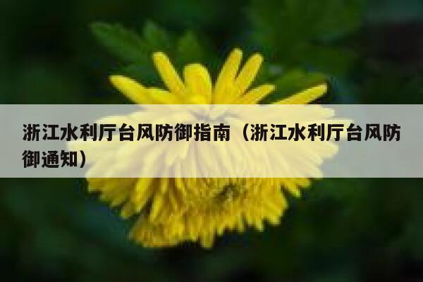浙江水利厅台风防御指南（浙江水利厅台风防御通知） 第1张