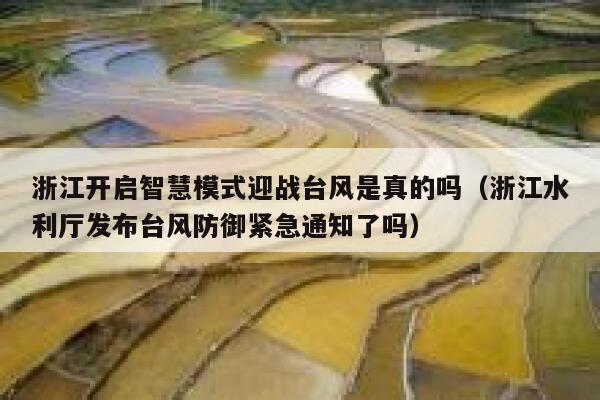 浙江开启智慧模式迎战台风是真的吗(浙江水利厅发布台风防御紧急通知了吗) 第1张 浙江开启智慧模式迎战台风是真的吗(浙江水利厅发布台风防御紧急通知了吗) 第1张
