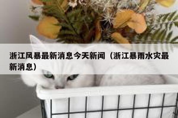 浙江风暴最新消息今天新闻(浙江暴雨水灾最新消息) 第1张 浙江风暴最新消息今天新闻(浙江暴雨水灾最新消息) 第1张