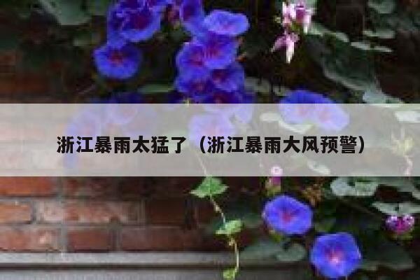 浙江暴雨太猛了(浙江暴雨大风预警) 第1张 浙江暴雨太猛了(浙江暴雨大风预警) 第1张