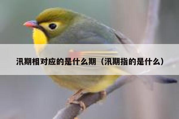汛期相对应的是什么期(汛期指的是什么) 第1张 汛期相对应的是什么期(汛期指的是什么) 第1张