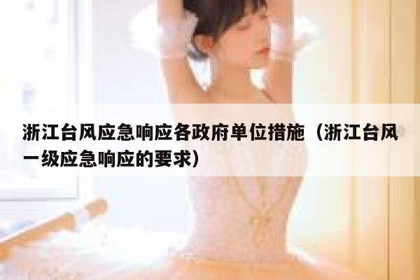 浙江台风应急响应各政府单位措施(浙江台风一级应急响应的要求) 第1张 浙江台风应急响应各政府单位措施(浙江台风一级应急响应的要求) 第1张