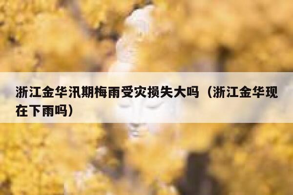 浙江金华汛期梅雨受灾损失大吗（浙江金华现在下雨吗） 第1张