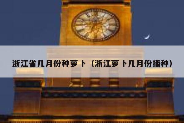 浙江省几月份种萝卜（浙江萝卜几月份播种） 第1张