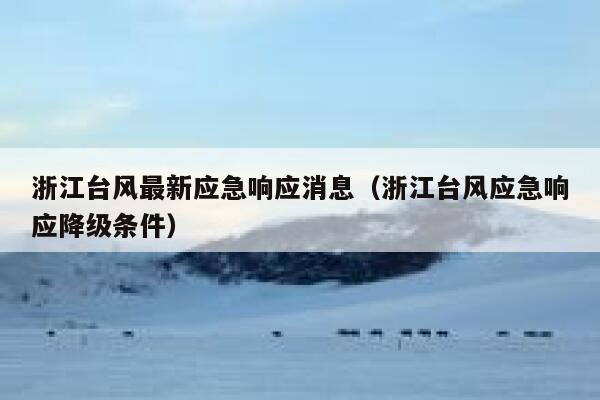 浙江台风最新应急响应消息（浙江台风应急响应降级条件） 第1张