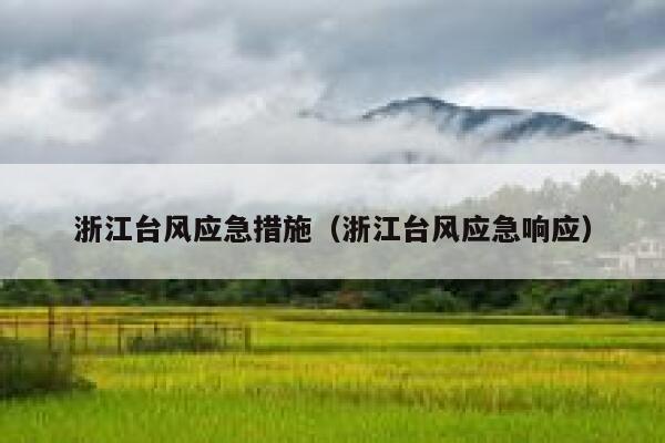 浙江台风应急措施（浙江台风应急响应） 第1张