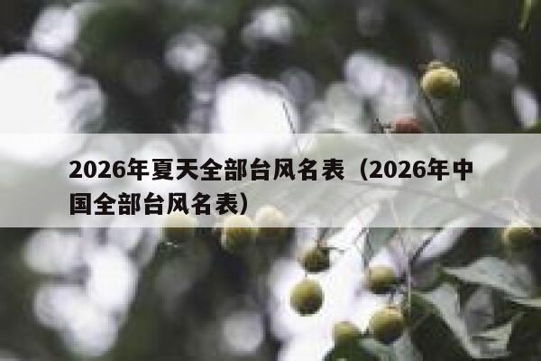 2026年夏天全部台风名表（2026年中国全部台风名表） 第1张