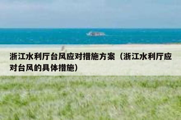 浙江水利厅台风应对措施方案（浙江水利厅应对台风的具体措施） 第1张