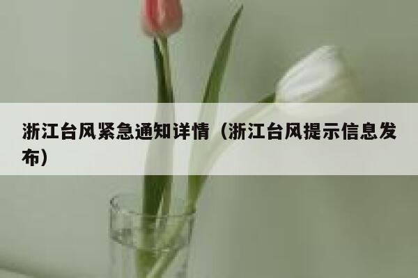 浙江台风紧急通知详情（浙江台风提示信息发布） 第1张