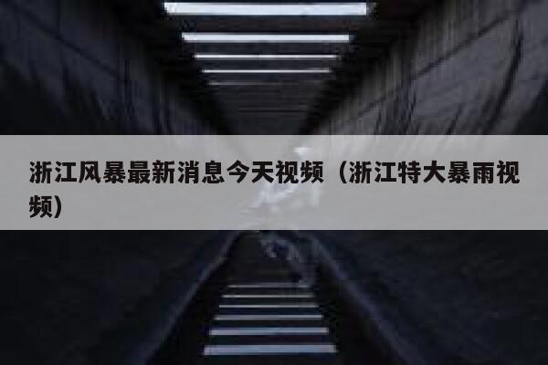 浙江风暴最新消息今天视频（浙江特大暴雨视频） 第1张