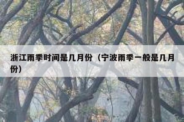 浙江雨季时间是几月份(宁波雨季一般是几月份) 第1张 浙江雨季时间是几月份(宁波雨季一般是几月份) 第1张