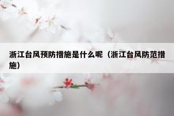 浙江台风预防措施是什么呢(浙江台风防范措施) 第1张 浙江台风预防措施是什么呢(浙江台风防范措施) 第1张