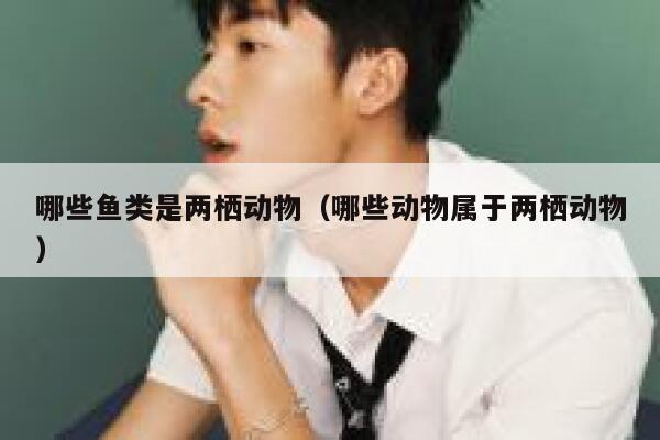 哪些鱼类是两栖动物（哪些动物属于两栖动物） 第1张