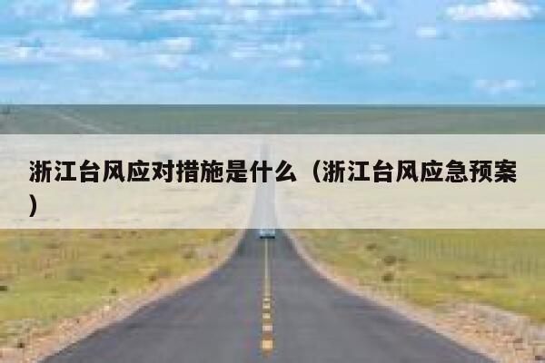 浙江台风应对措施是什么（浙江台风应急预案） 第1张