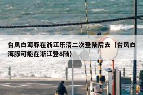 台风白海豚在浙江乐清二次登陆后去(台风白海豚可能在浙江登8陆) 第1张 台风白海豚在浙江乐清二次登陆后去(台风白海豚可能在浙江登8陆) 第1张