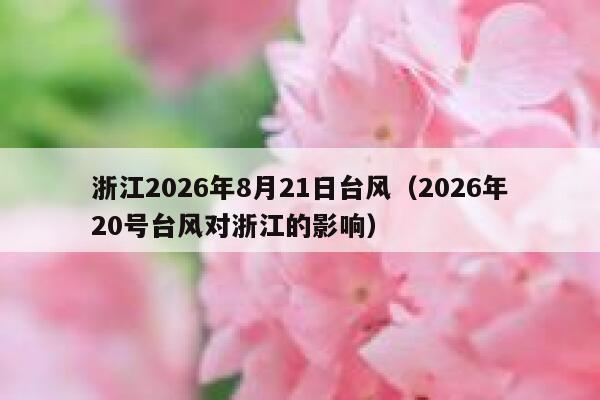 浙江2026年8月21日台风(2026年20号台风对浙江的影响) 第1张 浙江2026年8月21日台风(2026年20号台风对浙江的影响) 第1张