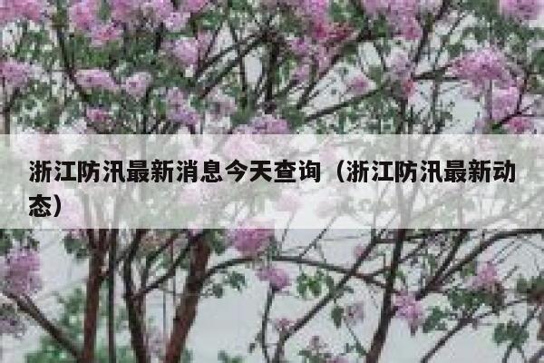 浙江防汛最新消息今天查询（浙江防汛最新动态） 第1张