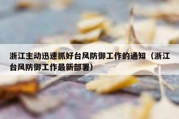 浙江主动迅速抓好台风防御工作的通知(浙江台风防御工作最新部署) 第1张 浙江主动迅速抓好台风防御工作的通知(浙江台风防御工作最新部署) 第1张