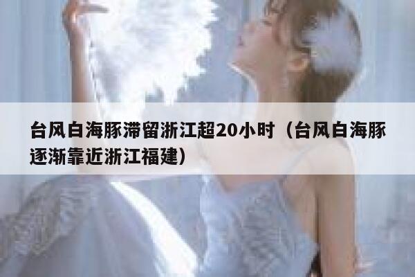 台风白海豚滞留浙江超20小时（台风白海豚逐渐靠近浙江福建） 第1张