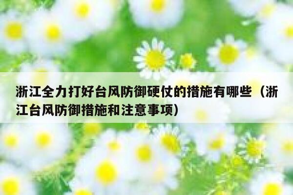浙江全力打好台风防御硬仗的措施有哪些（浙江台风防御措施和注意事项） 第1张