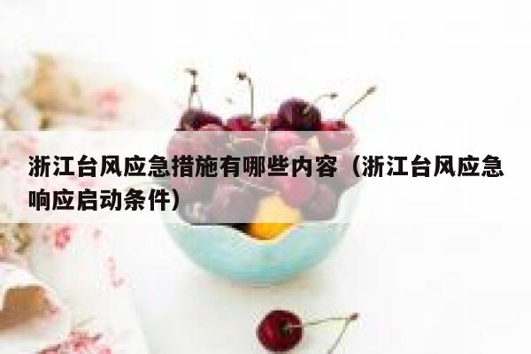 浙江台风应急措施有哪些内容(浙江台风应急响应启动条件) 第1张 浙江台风应急措施有哪些内容(浙江台风应急响应启动条件) 第1张