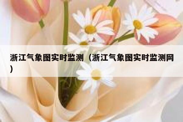 浙江气象图实时监测（浙江气象图实时监测网） 第1张