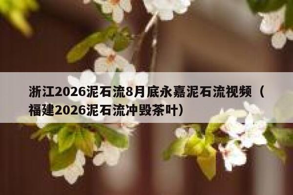 浙江2026泥石流8月底永嘉泥石流视频（福建2026泥石流冲毁茶叶） 第1张