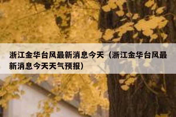 浙江金华台风最新消息今天（浙江金华台风最新消息今天天气预报） 第1张