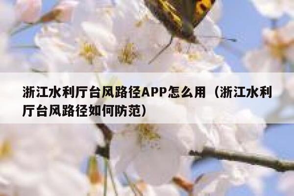 浙江水利厅台风路径APP怎么用(浙江水利厅台风路径如何防范) 第1张 浙江水利厅台风路径APP怎么用(浙江水利厅台风路径如何防范) 第1张