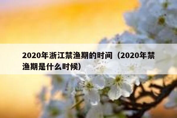 2020年浙江禁渔期的时间（2020年禁渔期是什么时候） 第1张