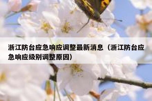 浙江防台应急响应调整最新消息（浙江防台应急响应级别调整原因） 第1张