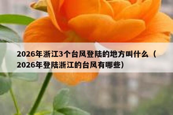 2026年浙江3个台风登陆的地方叫什么(2026年登陆浙江的台风有哪些) 第1张 2026年浙江3个台风登陆的地方叫什么(2026年登陆浙江的台风有哪些) 第1张