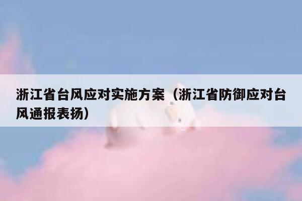 浙江省台风应对实施方案（浙江省防御应对台风通报表扬） 第1张