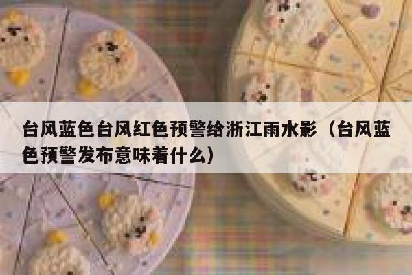 台风蓝色台风红色预警给浙江雨水影（台风蓝色预警发布意味着什么） 第1张