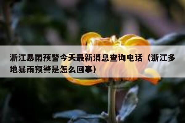 浙江暴雨预警今天最新消息查询电话（浙江多地暴雨预警是怎么回事） 第1张